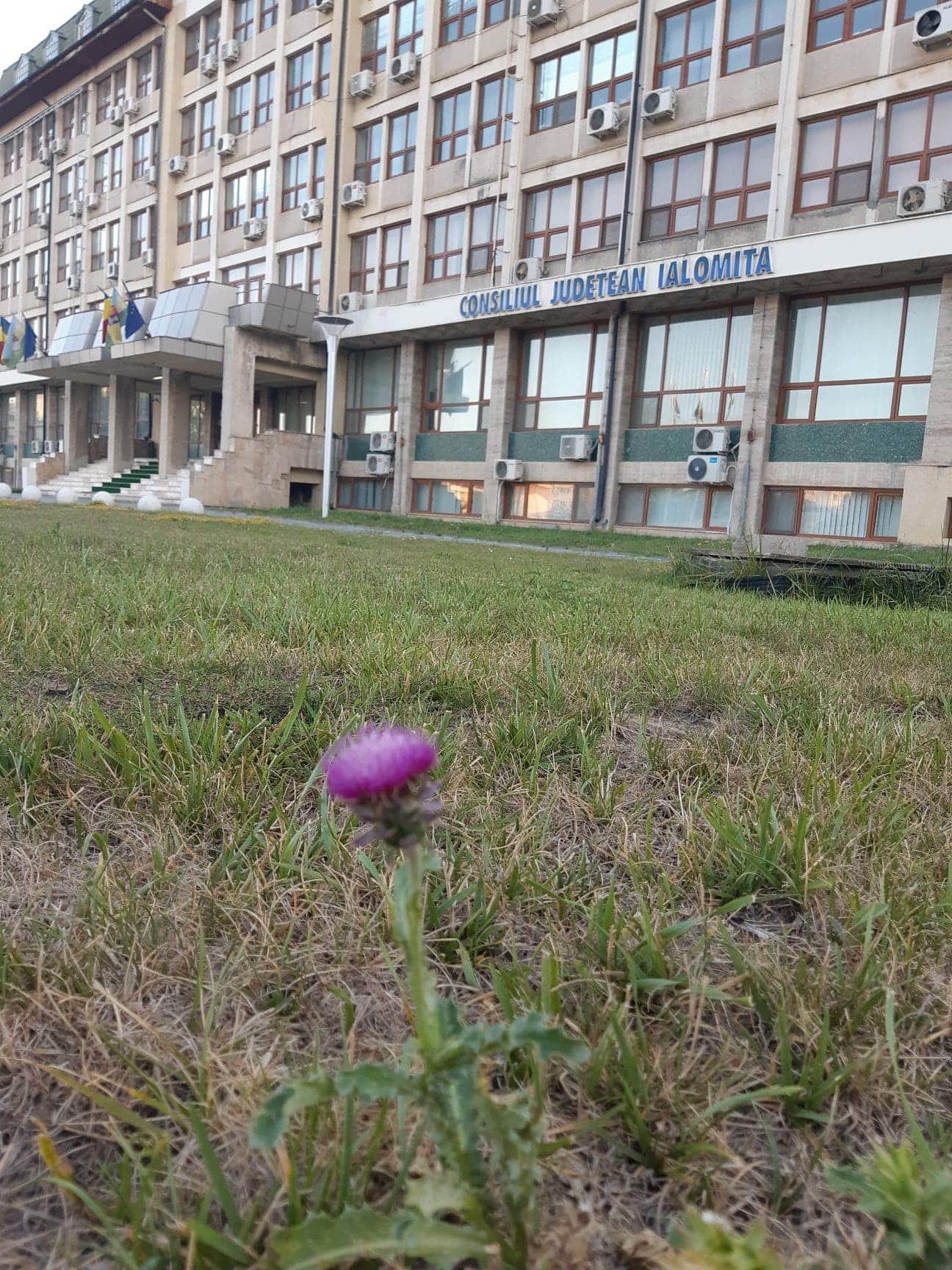 Cui anume şi pentru cât a concesionat Consiliul Judeţean cele 600 de hectare din zona Vlădeni