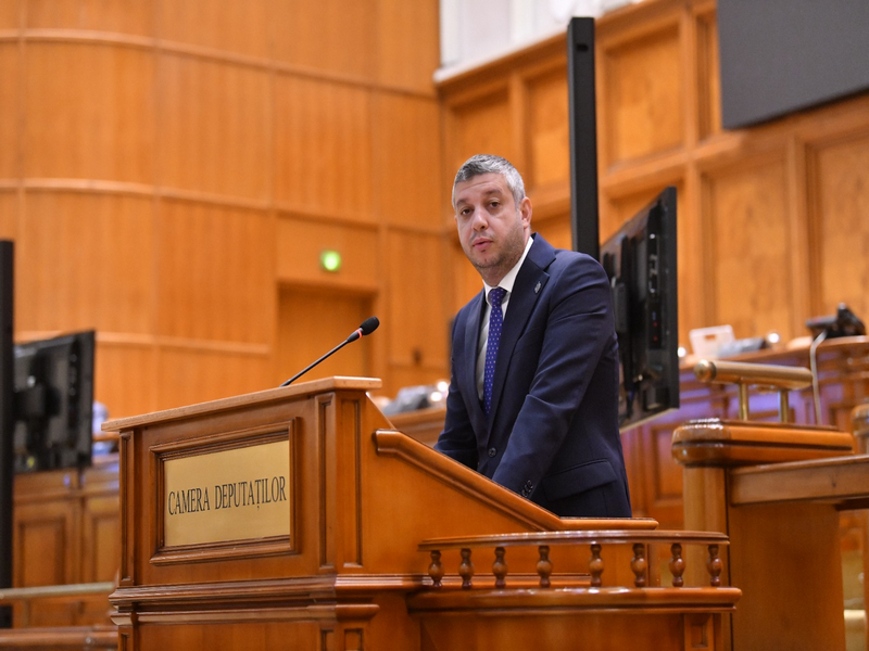 „Ștefan Țintă, deputat PSD ales în Circumscripția 23 Ialomița, activitate în Parlamentul României”